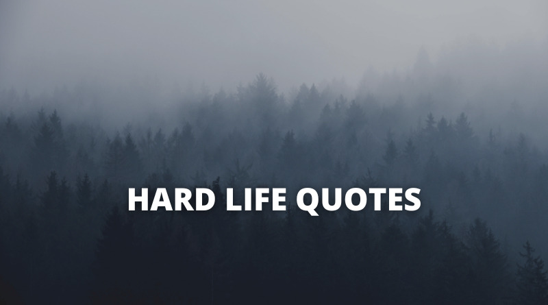 Hard Life quotes featured