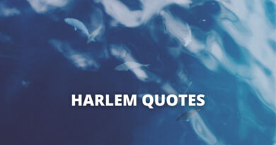 Harlem quotes featured