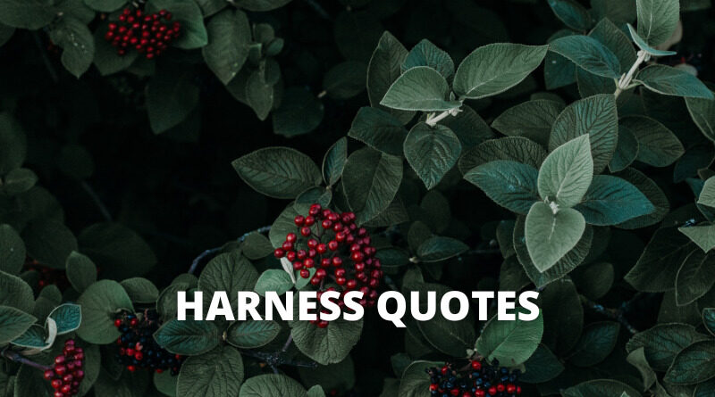 Harness quotes featured