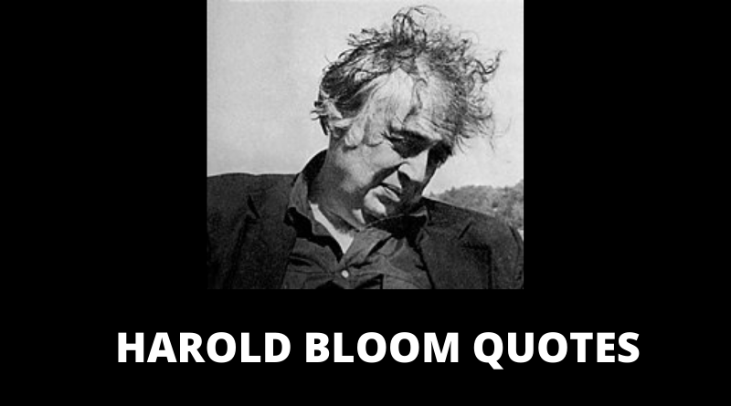 Harold Bloom quotes featured