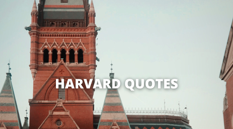 Harvard quotes featured