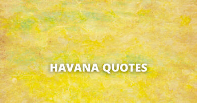 Havana quotes featured