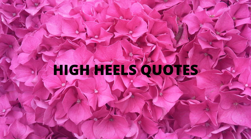 Inspiring High Heels Quotes & Sayings Story - ShoeTease Shoe Blog & Styling  Advice