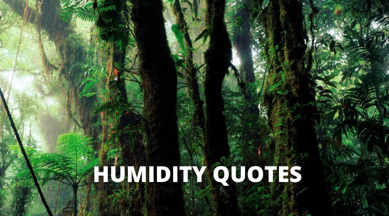 Humidity quotes featured