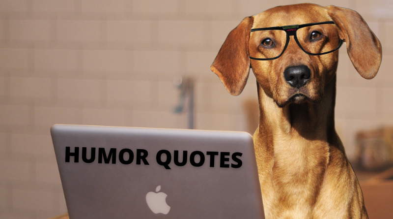 Humor quotes featured