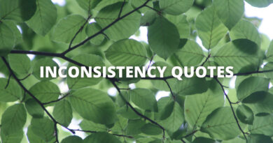 INCONSISTENCY QUOTES featured