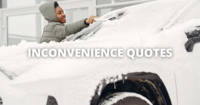 INCONVENIENCE QUOTES featured