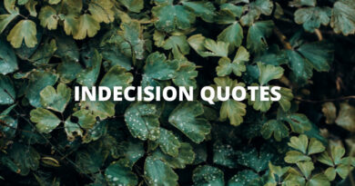 INDECISION QUOTES featured