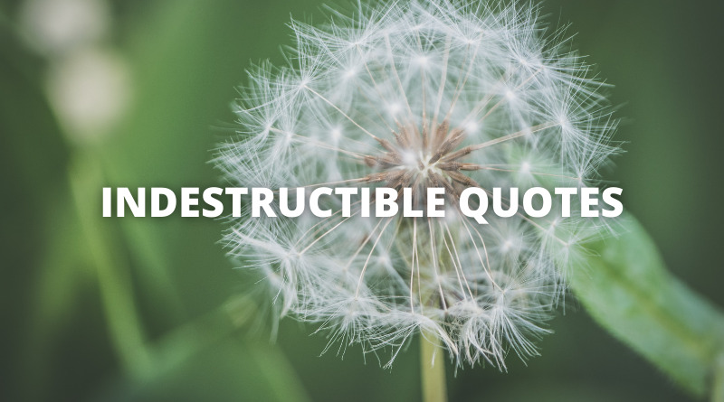 INDESTRUCTIBLE QUOTES featured
