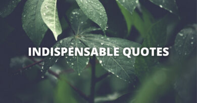 INDISPENSABLE QUOTES featured