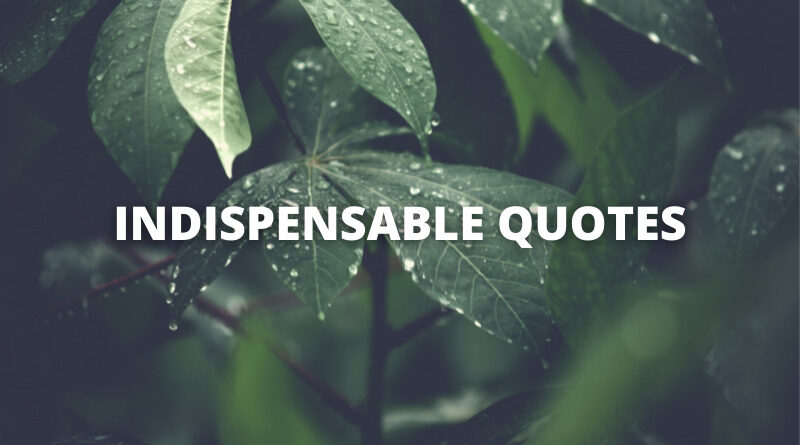 INDISPENSABLE QUOTES featured
