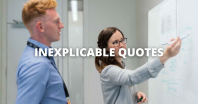 INEXPLICABLE QUOTES featured
