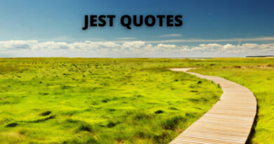 JEST QUOTES FEATURED