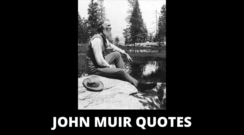 John Muir quotes featured