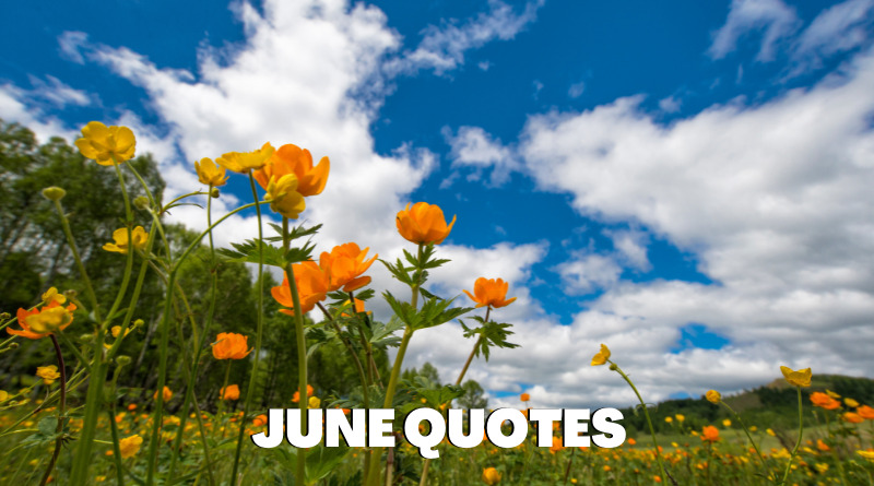 June Quotes Featured