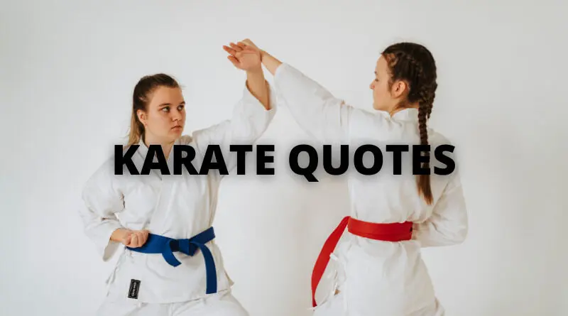 Best Karate Quotes On Success In Life – OverallMotivation