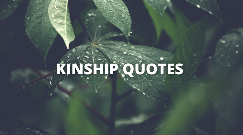 KINSHIP QUOTES FEATURED