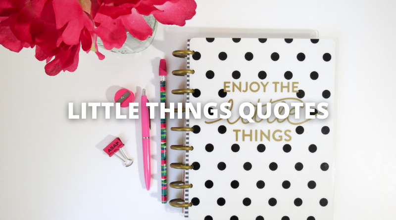LITTLE THINGS QUOTES featured