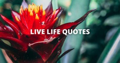 LIVE LIFE QUOTES featured