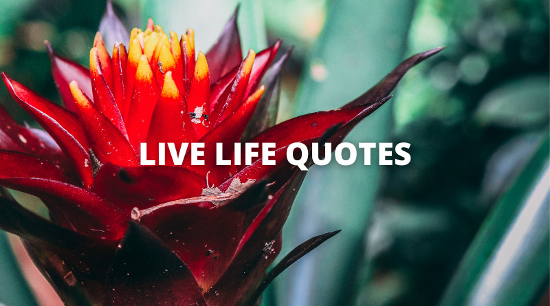 LIVE LIFE QUOTES featured