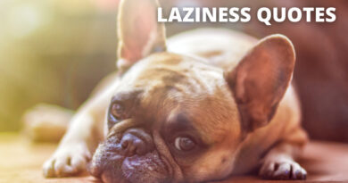 Laziness Quotes Featured