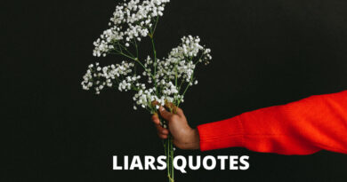 Liars Quotes Featured