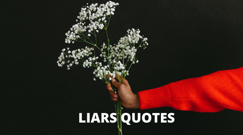 Quotes to liars