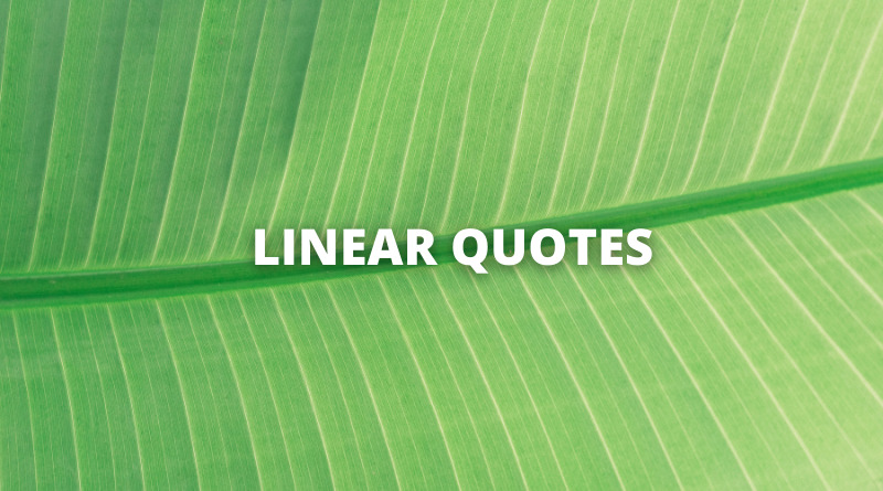 Linear Quotes Featured