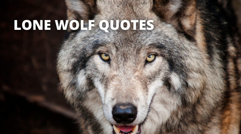 Lone Wolf Quotes featured.png