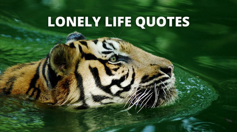 Lonely Life Quotes featured.png