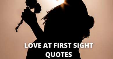 Love At First Sight Quotes featured.png