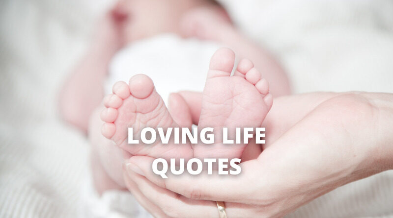 Loving life quotes featured