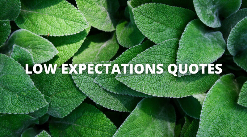 Low Expectations Quotes featured