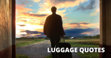 Luggage Quotes featured.png