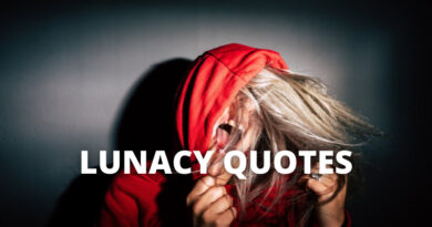 Lunacy Quotes featured