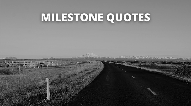 65 Milestone Quotes On Success In Life – OverallMotivation