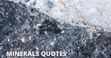 MINERAL QUOTES featured