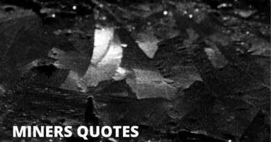 MINER QUOTES featured