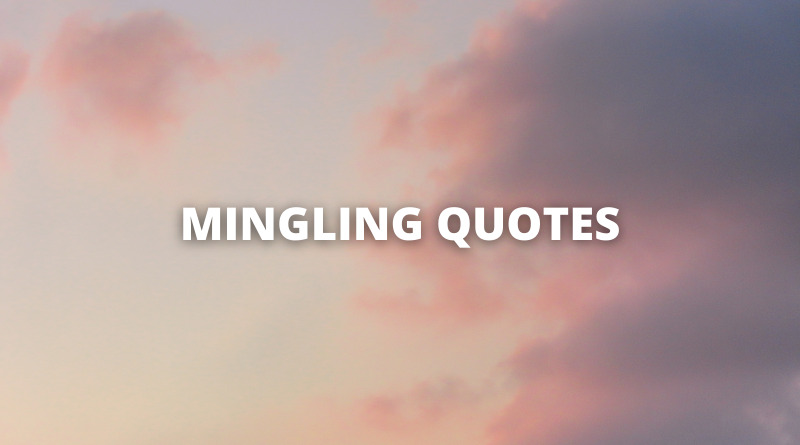 MINGLE QUOTES featured