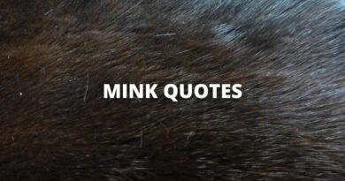 MINK QUOTES featured