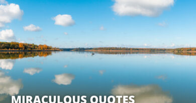 MIRACULOUS QUOTES featured
