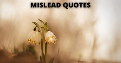 MISLEAD QUOTES FEATURED