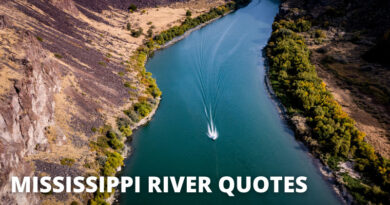 MISSISSIPPI RIVER QUOTES FEATURED