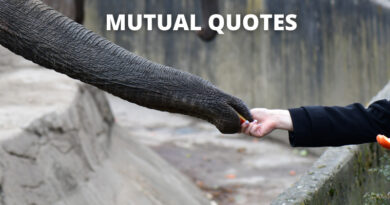 MUTUAL QUOTES FEATURED