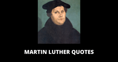 Martin Luther Quotes feature