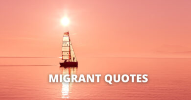 Migrant quotes featured1