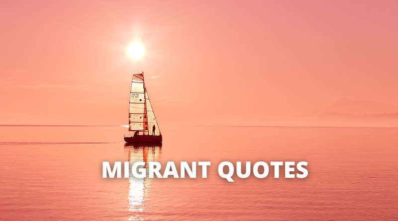 Migrant quotes featured1