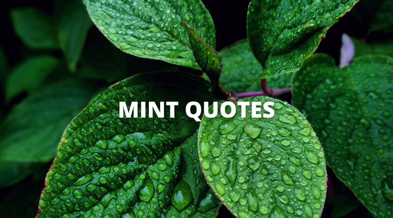 Mint Quotes Featured