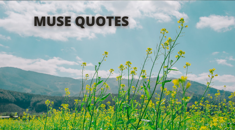 Muse Quotes Featured