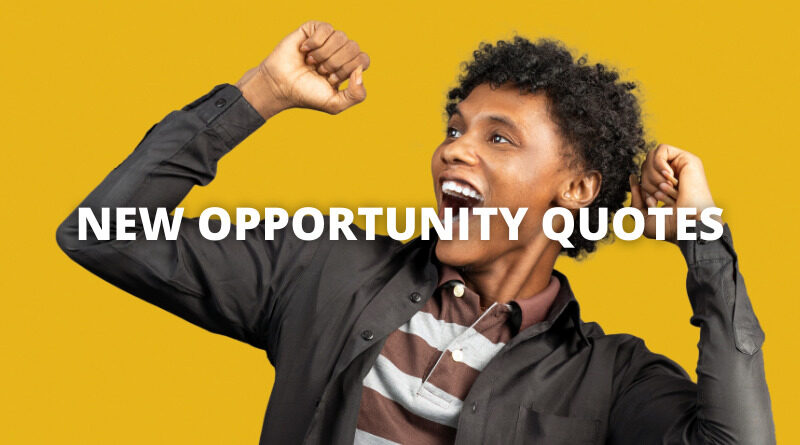 NEW OPPORTUNITY QUOTES featured